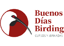 bd_birding